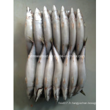 Bqf Frozen Seafood Fish for Mackerel